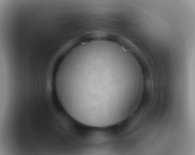 X0000092110732200709262158