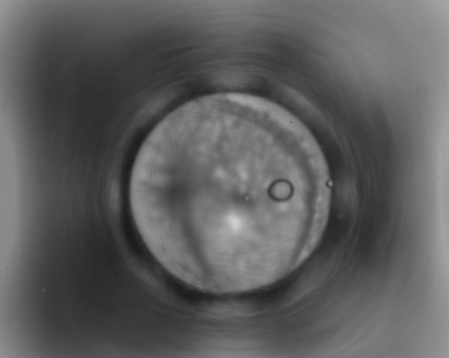 X0000092110734200709262158