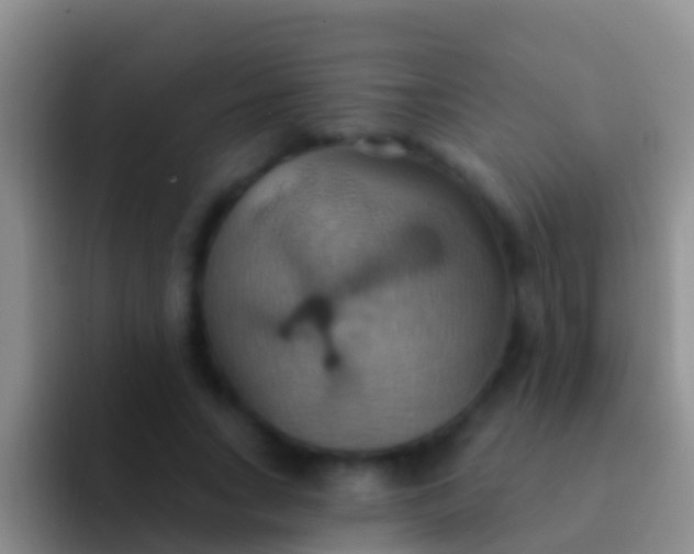 X0000092110735200709262158