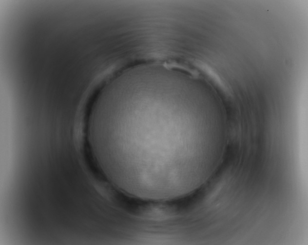 X0000092110736200709262158