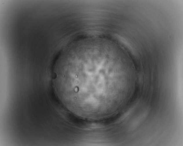 X0000092110737200709262158