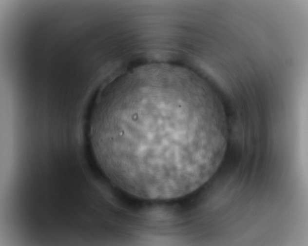 X0000092110738200709262158