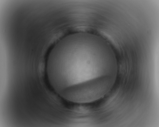 X0000092110739200709262158