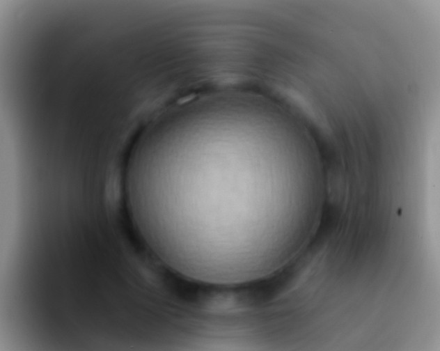 X0000092110740200709262158