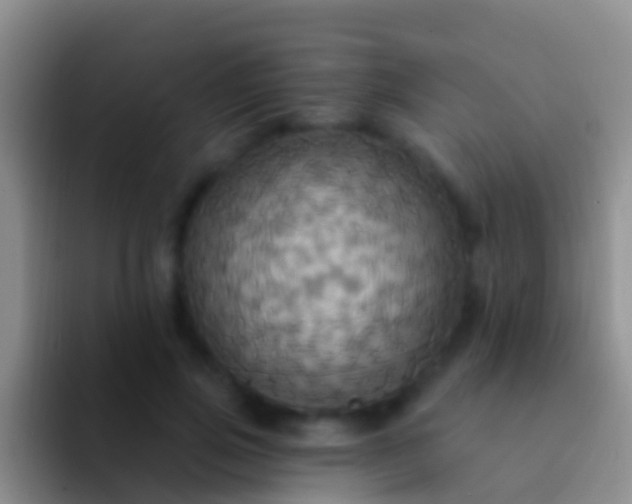 X0000092110741200709262158