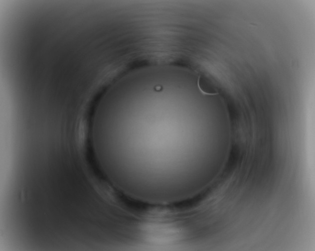 X0000092110742200709262158