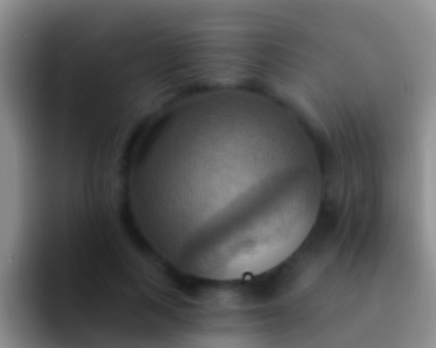 X0000092110743200709262158