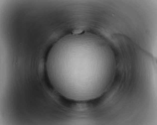 X0000092110744200709262159