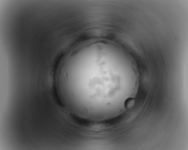 X0000092110746200709262159