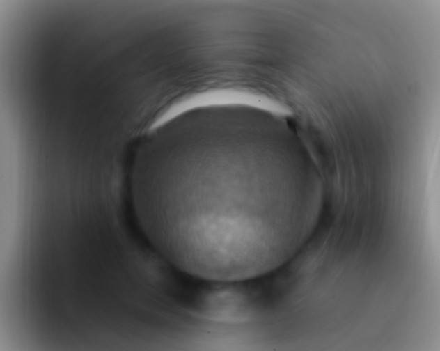 X0000092110750200709262159