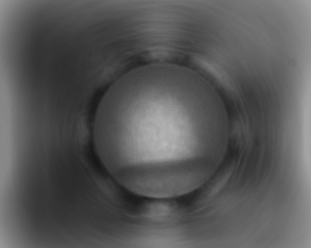 X0000092110751200709262159