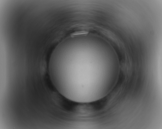 X0000092110752200709262159