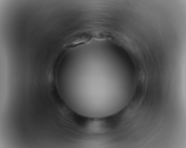 X0000092110754200709262159