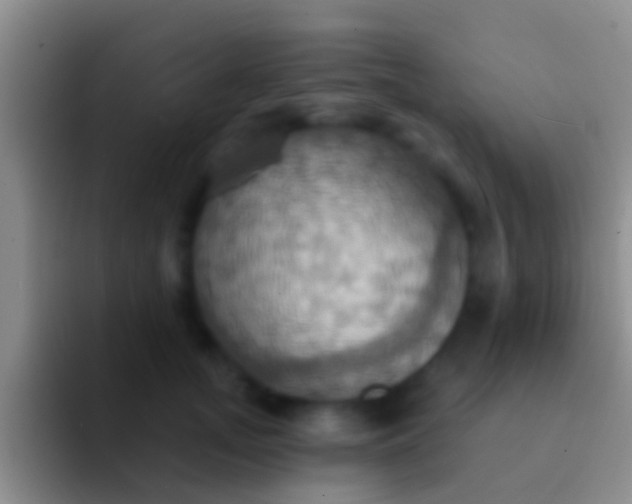 X0000092110755200709262159