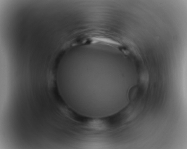 X0000092110759200709262159