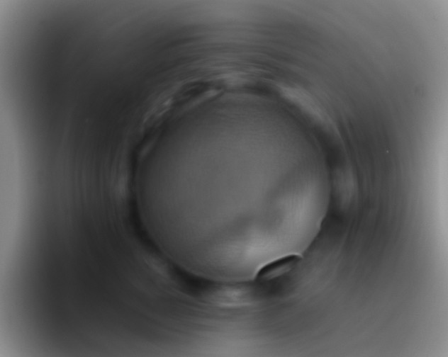 X0000092110760200709262159