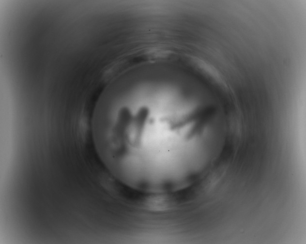 X0000092110761200709262159