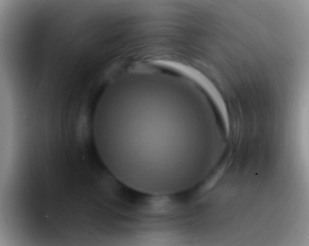 X0000092110762200709262159