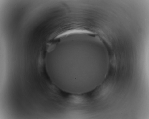 X0000092110763200709262159