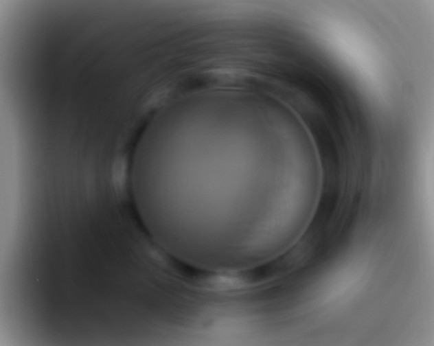 X0000092110765200709262159