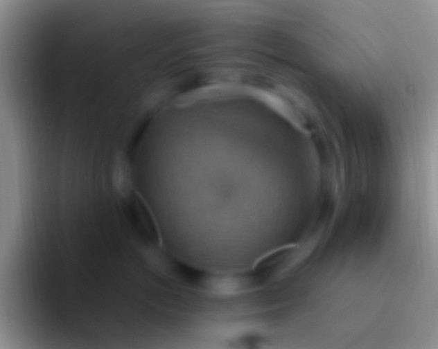 X0000092110766200709262159