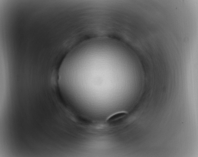 X0000092110768200709262159