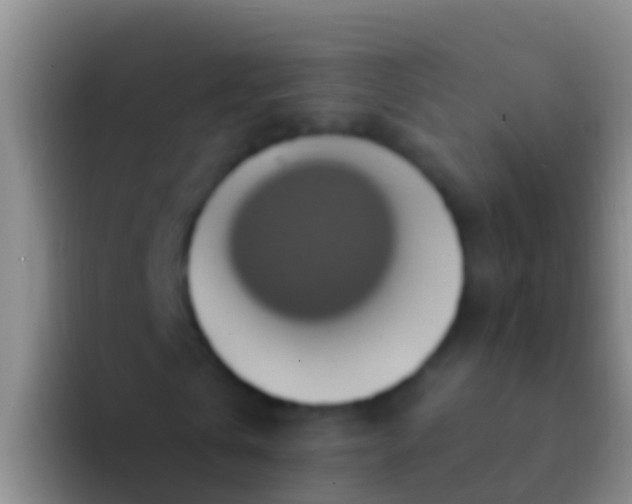 X0000092110769200709262158