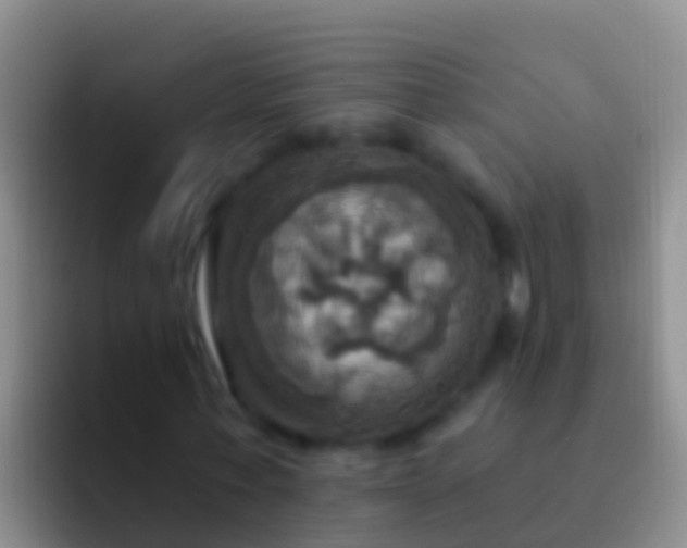 X0000092110771200709262158