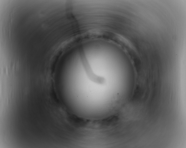 X0000092110773200709262158