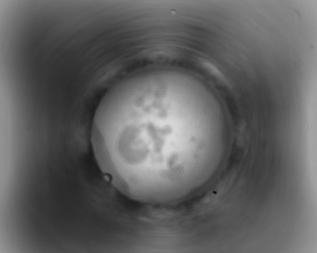 X0000092110774200709262158