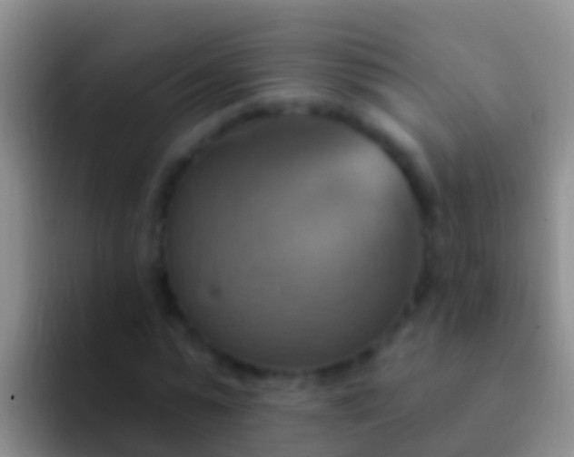 X0000092110775200709262158