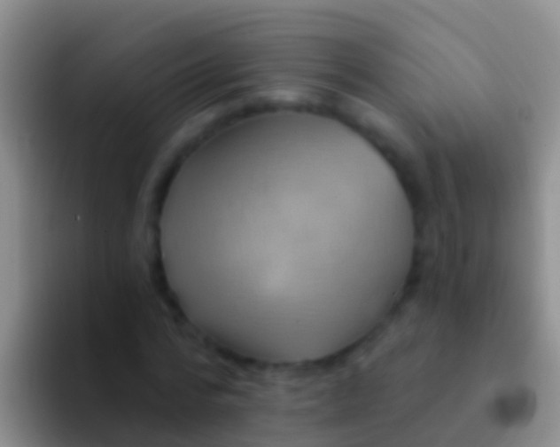 X0000092110776200709262158