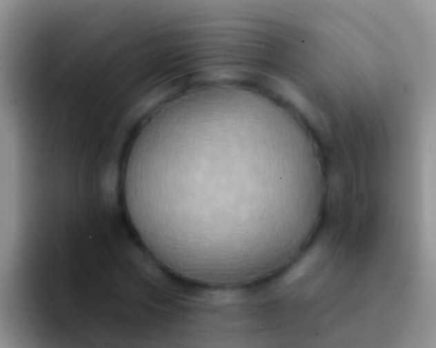 X0000092110778200709262158