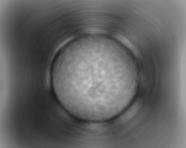 X0000092110782200709262158