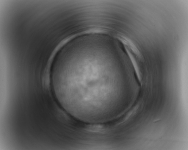 X0000092110784200709262158