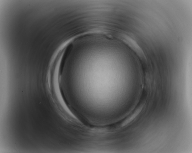 X0000092110788200709262158