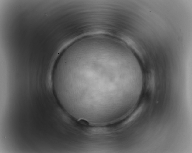 X0000092110789200709262158