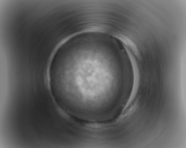 X0000092110792200709262158