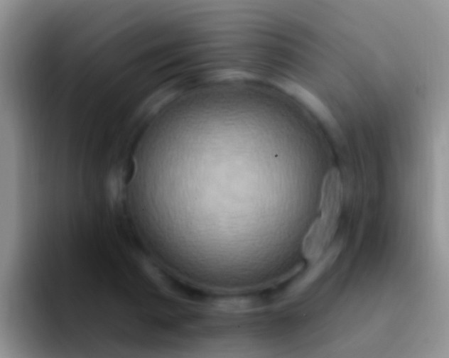 X0000092110793200709262158