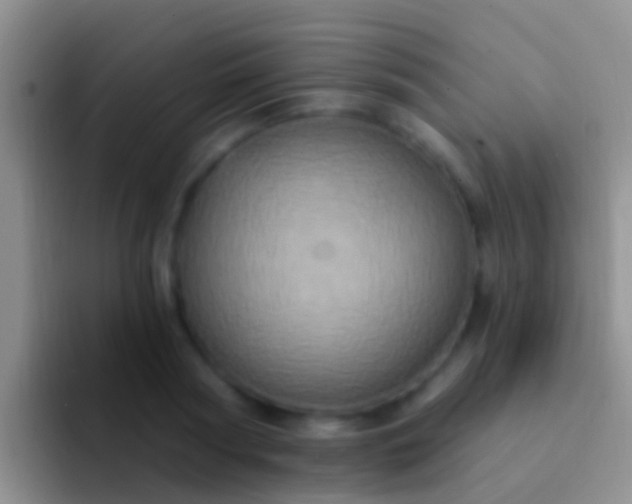 X0000092110794200709262158