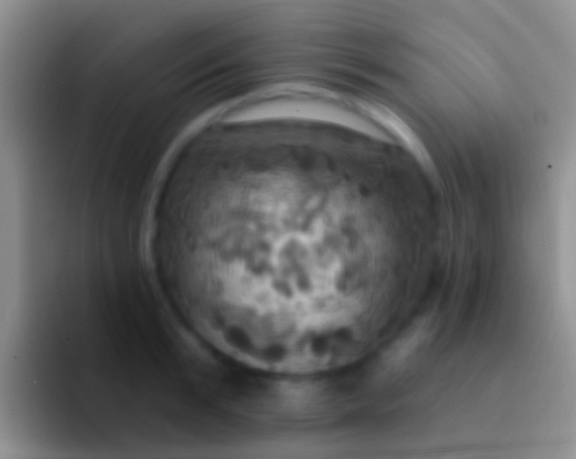 X0000092110799200709262158