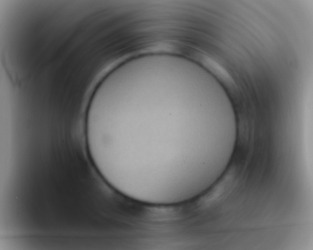 X0000092110800200709262158