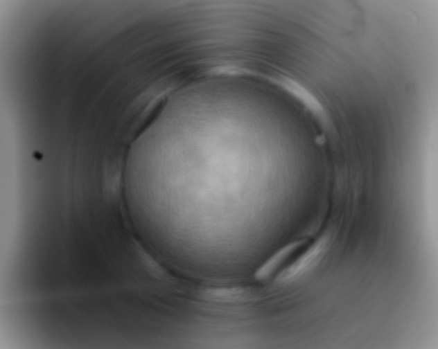 X0000092110801200709262158