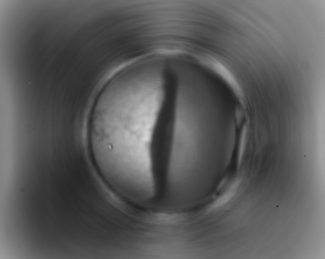 X0000092110803200709262158