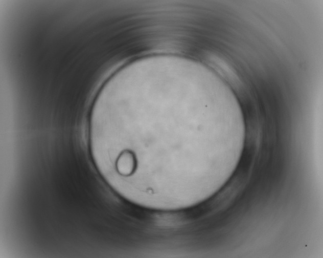 X0000092110804200709262158