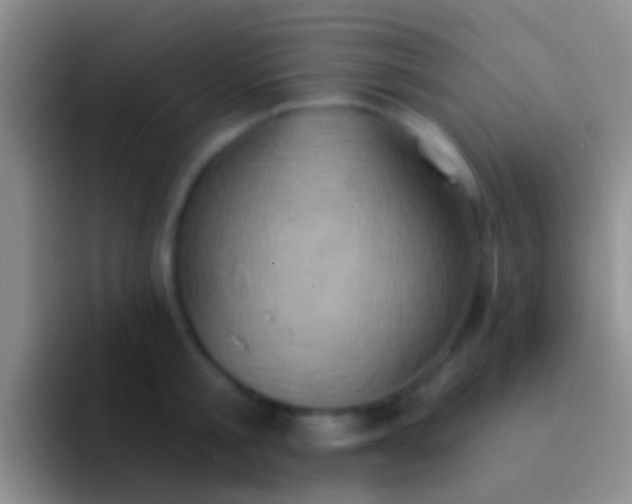 X0000092110805200709262158