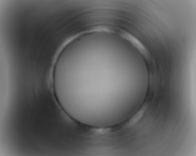 X0000092110808200709262158