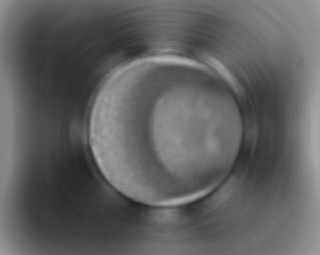 X0000092110810200709262158