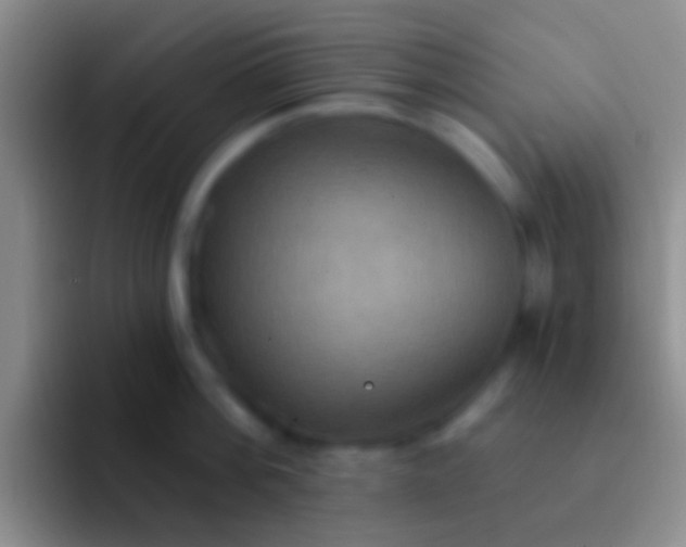 X0000092110812200709262158