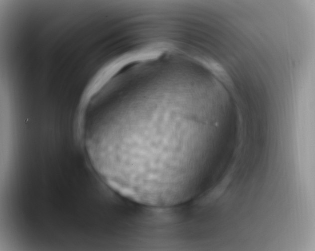 X0000092110816200709262158